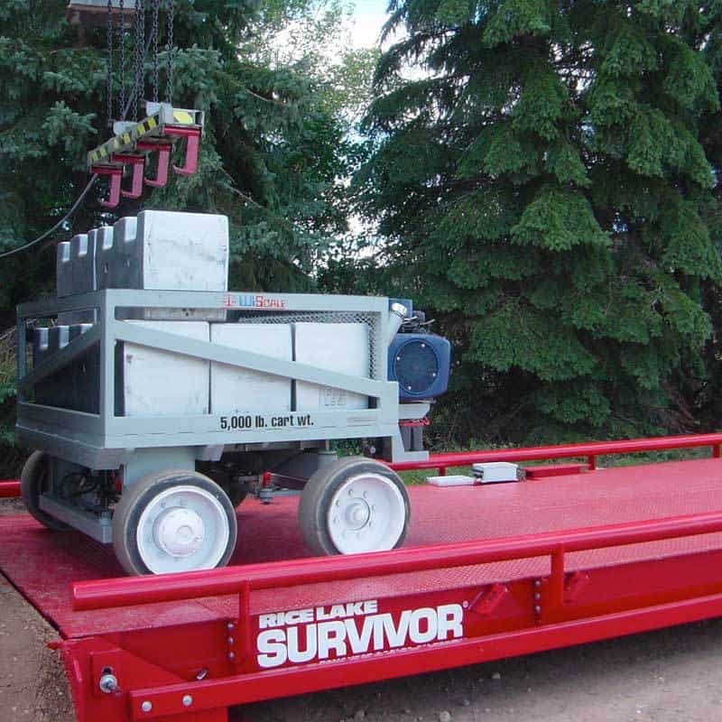 Wiscale Nesnah Portfolio